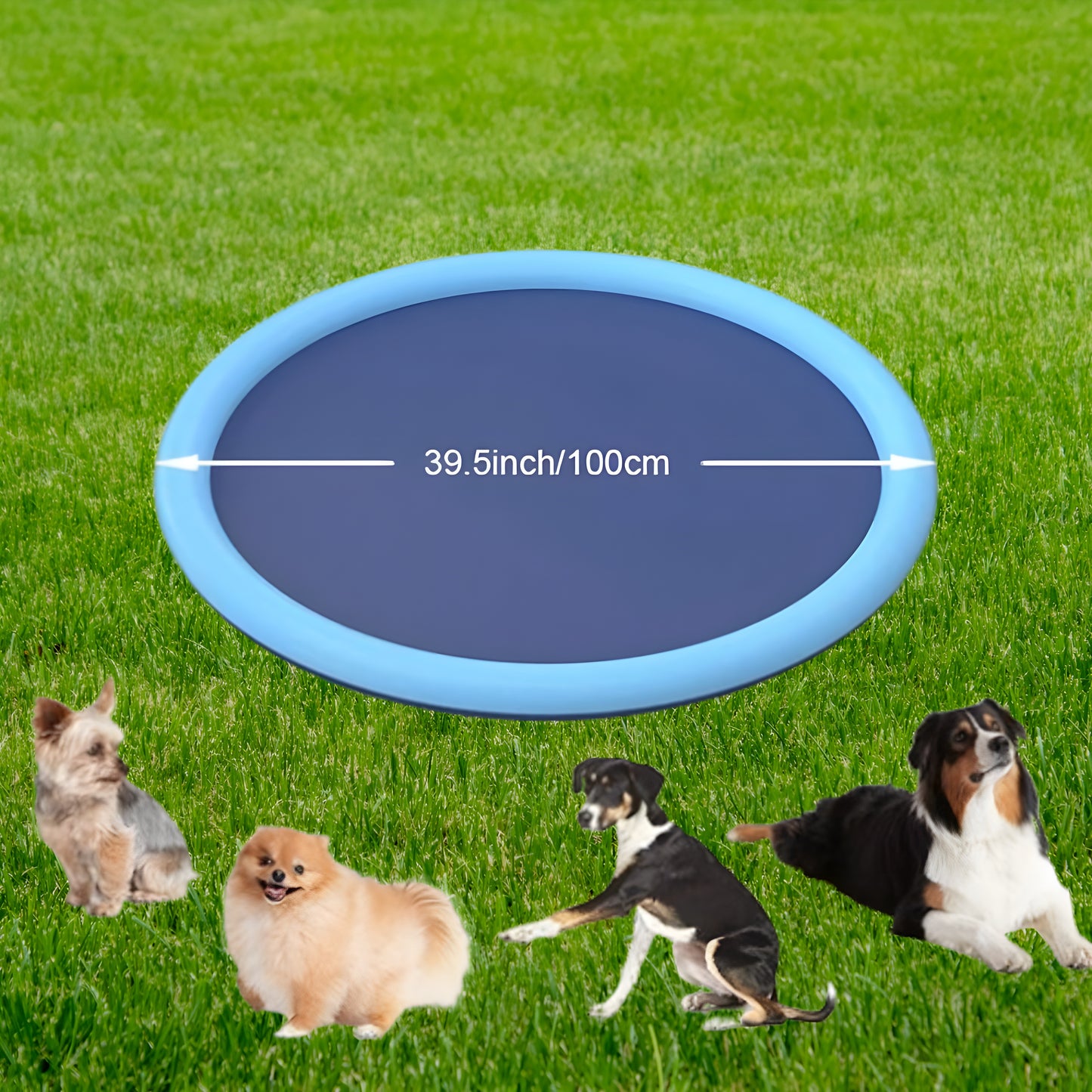 WoefWaterPark- By PawfectToys