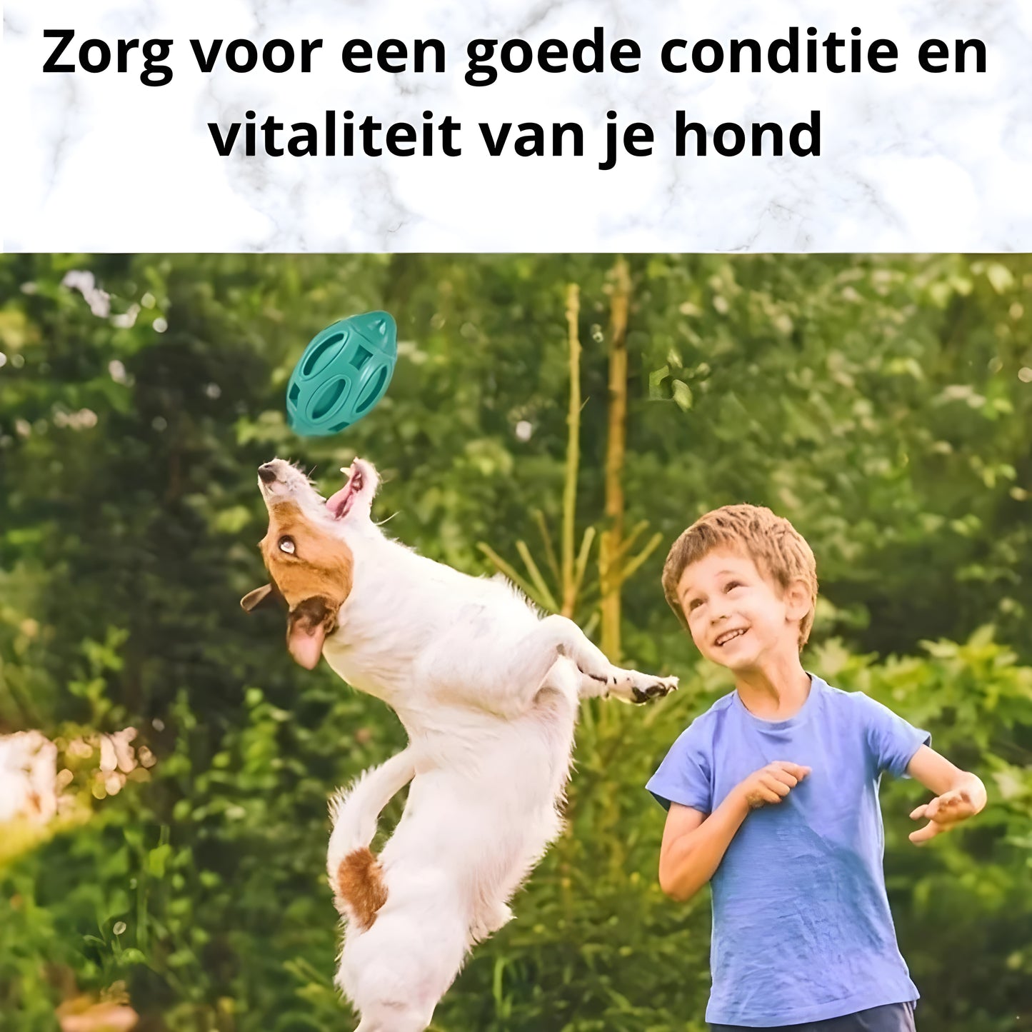 Beast Ball- By PawfectToys