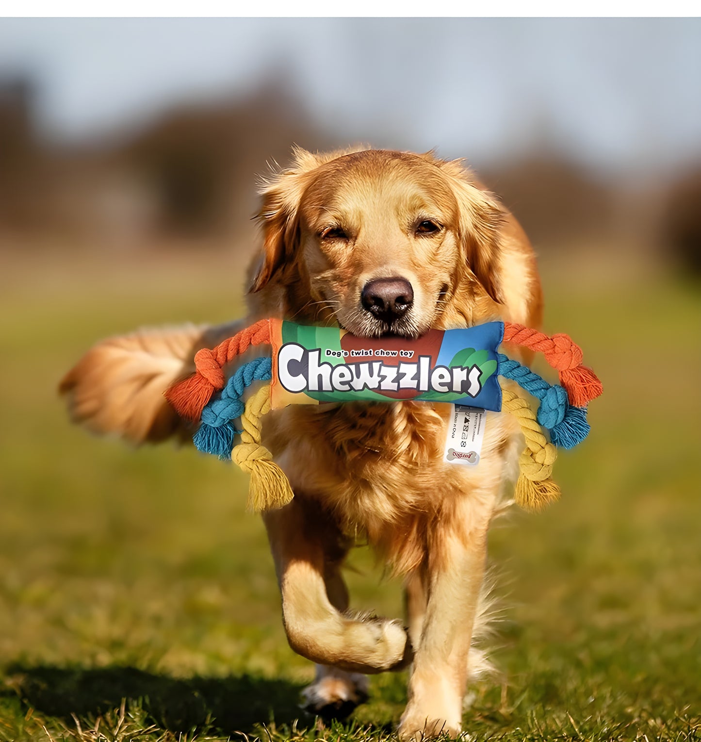 Chewzzlers- By PawFectToys